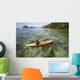 Scenic Seaside Wall Decal