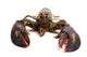 Lobster Wall Mural