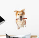 Dog With Leash in Mouth Excited for Walk Wall Decal