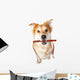Dog With Leash in Mouth Excited for Walk Wall Decal