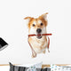 Dog With Leash in Mouth Excited for Walk Wall Decal