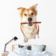Dog With Leash in Mouth Excited for Walk Wall Decal