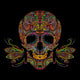 Decorative Color Skull Wall Decal