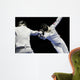 Fencing