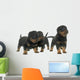 young puppies rottweiler Wall Decal