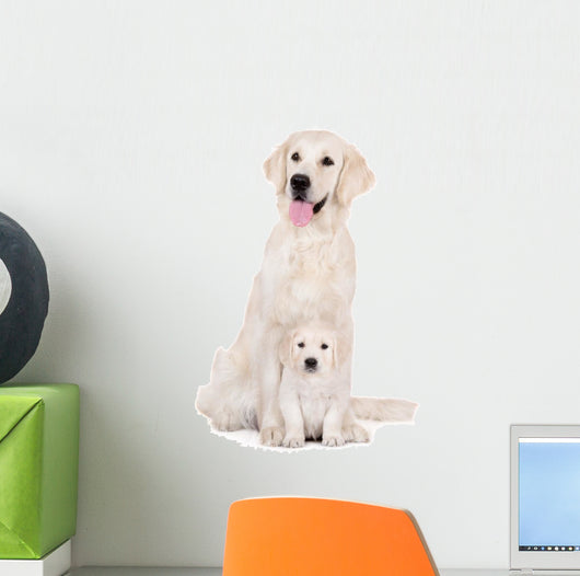 golden retriever dog with a puppy sitting on white Wall Decal
