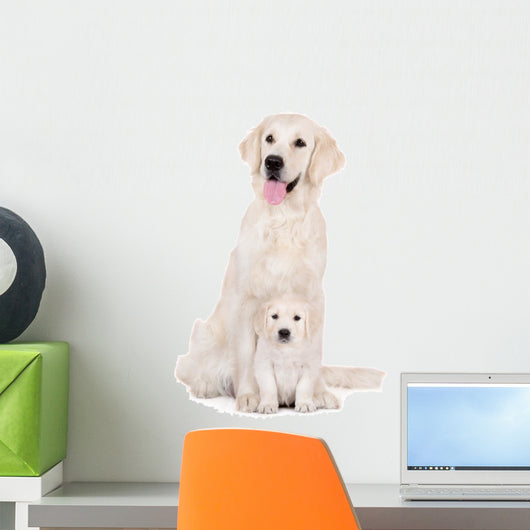 golden retriever dog with a puppy sitting on white Wall Decal