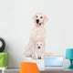 golden retriever dog with a puppy sitting on white Wall Decal