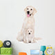 golden retriever dog with a puppy sitting on white Wall Decal