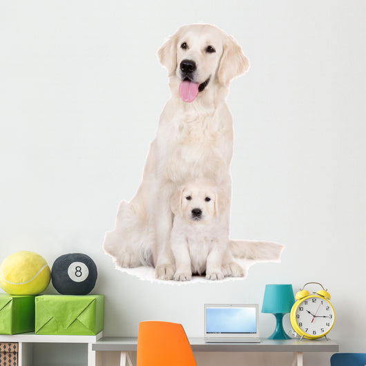 golden retriever dog with a puppy sitting on white Wall Decal