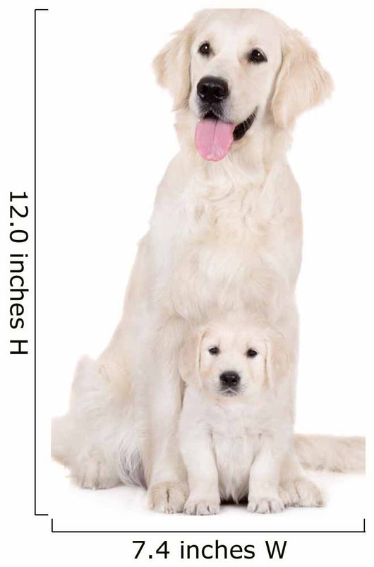 golden retriever dog with a puppy sitting on white Wall Decal