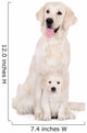 golden retriever dog with a puppy sitting on white Wall Decal