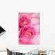 Peony Wall Mural