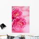 Peony Wall Mural
