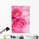 Peony Wall Mural