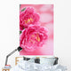 Peony Wall Mural