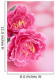 Peony Wall Mural