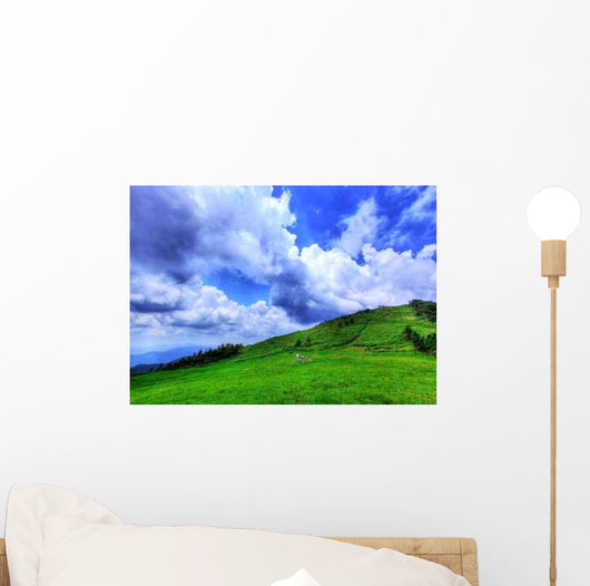 Gentle Plateau Wall Decal