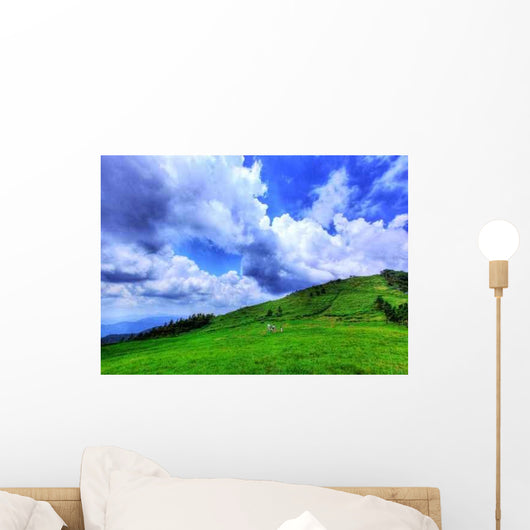 Gentle Plateau Wall Decal