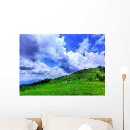 Gentle Plateau Wall Decal