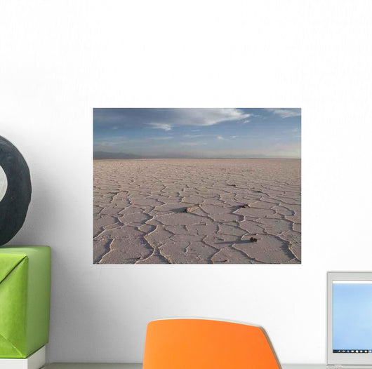 Konica Minolta Digital Camera Wall Decal Design 10