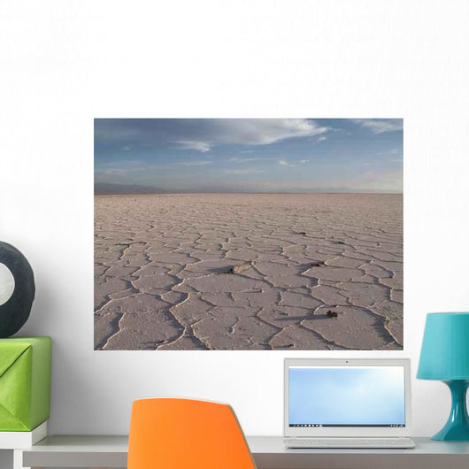 Konica Minolta Digital Camera Wall Decal Design 10