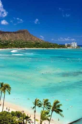 Waikiki Beach Oahu Wall Decal Design 1