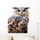 Eurasian Eagle Owl Wall Mural