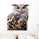 Eurasian Eagle Owl Wall Mural