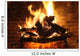Fireplace and Amber Wall Mural