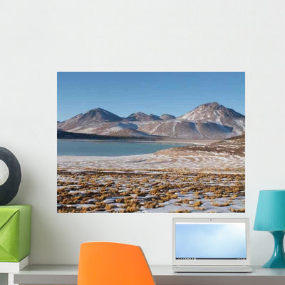 Konica Minolta Digital Camera Wall Decal Design 9 shown on a wall