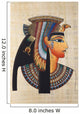 Ancient Egyptian Papyrus Wall Mural