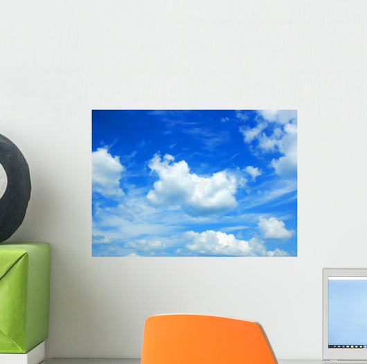 Sky Wall Mural