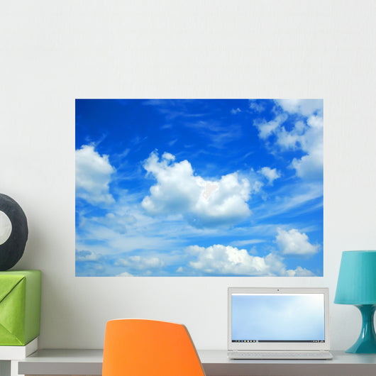 Sky Wall Mural
