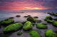 Green morning.
Rocky beach seascape at sunrise. Wall Mural