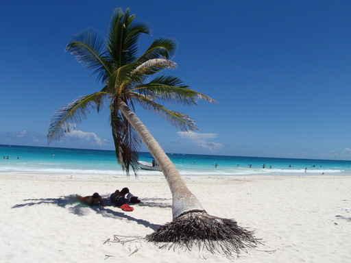 Paradise Beach Wall Decal