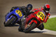 Speed Bike Race Wall Decal