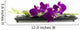 Beautiful Purple Orchid Wall Decal