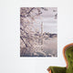 Cherry blossoms in bloom by the Washington Monument Wall Mural