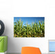Corn field Wall Mural