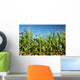 Corn field Wall Mural