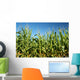 Corn field Wall Mural