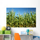 Corn field Wall Mural
