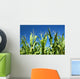 Corn crop Wall Mural
