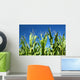 Corn crop Wall Mural