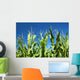 Corn crop Wall Mural