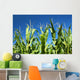 Corn crop Wall Mural