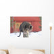 Grey Tabby Cat Sitting on Post Wall Mural