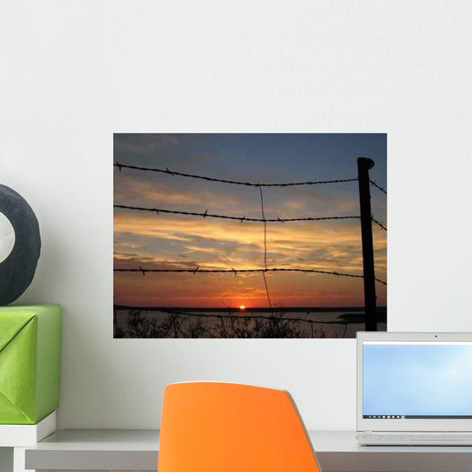 Barbed Wire Wall Decal