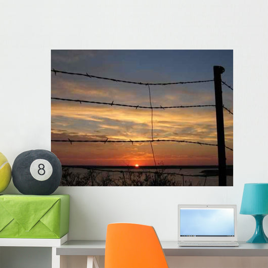 Barbed Wire Wall Decal